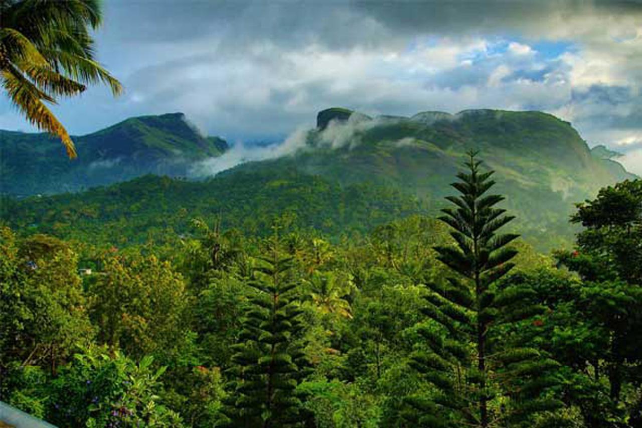 Sceva'S Garden Home Munnar Exterior photo